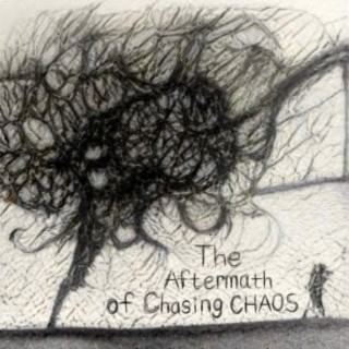 The Aftermath of Chasing Chaos