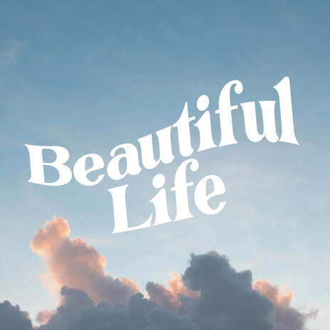 Beautiful Life | Boomplay Music