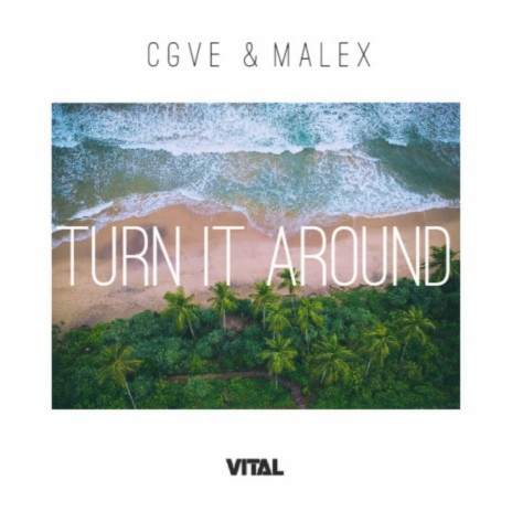 Turn It Around ft. MALEX | Boomplay Music