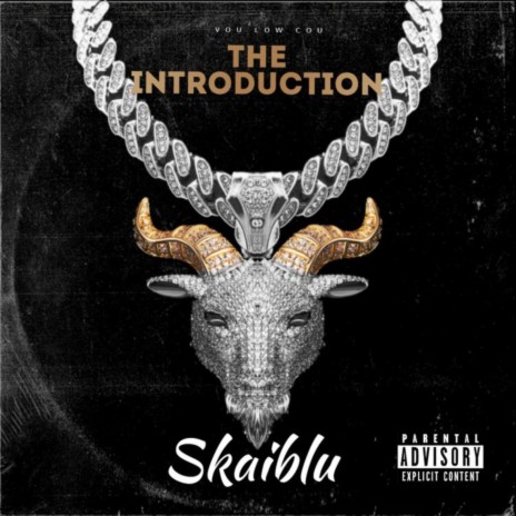 The Introduction | Boomplay Music