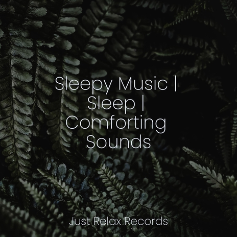 Echoes in Glassy Stillness ft. Música ambiental relajante & Lullaby Land | Boomplay Music