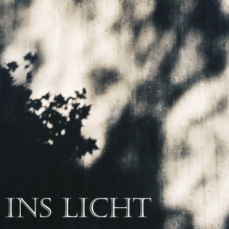 Ins Licht | Boomplay Music