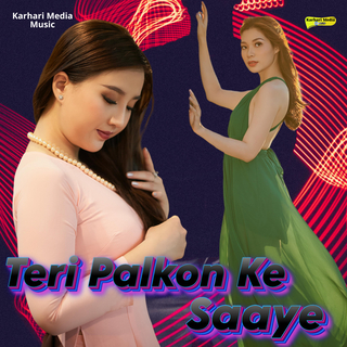 Teri Palkon Ke Saaye