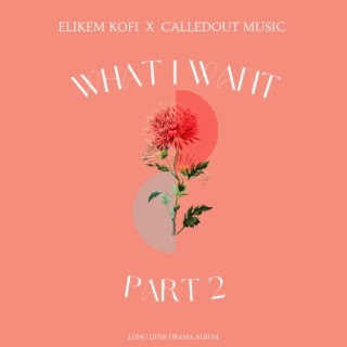 What I Want II ft. CalledOut Music lyrics | Boomplay Music