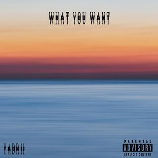 What You Want