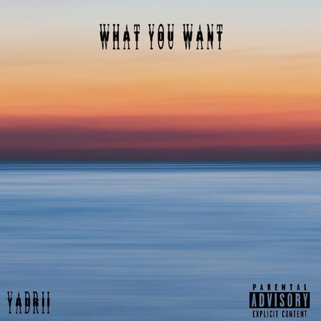 What You Want | Boomplay Music