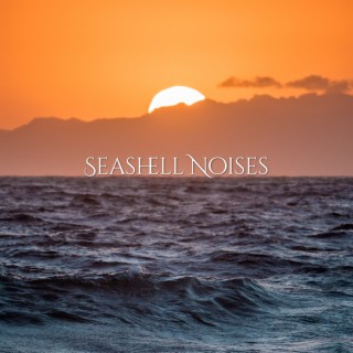 Seashell Noise