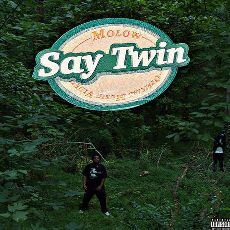 say twin | Boomplay Music