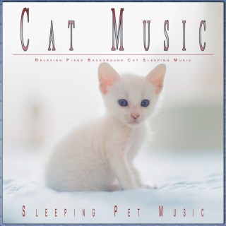 Cat Music: Relaxing Piano Background Cat Sleeping Music