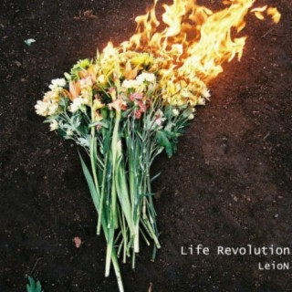 Life Revolution