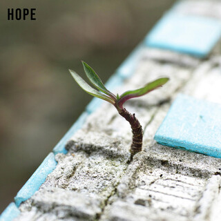 Hope