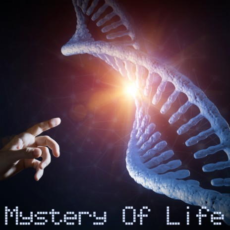 Mystery Of Life | Boomplay Music