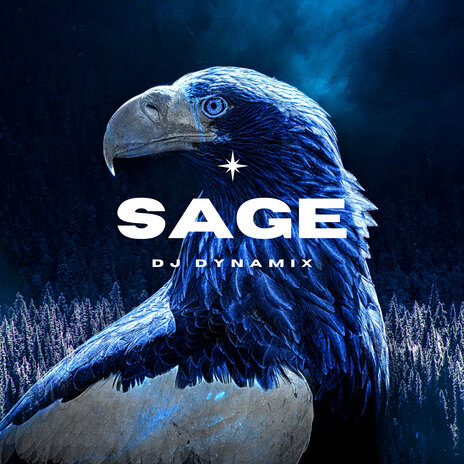 Sage | Boomplay Music