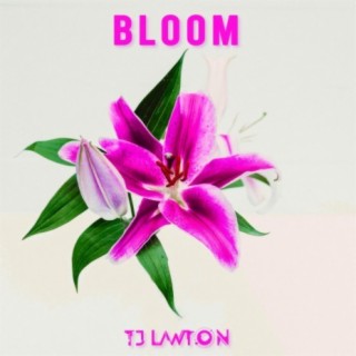 Bloom