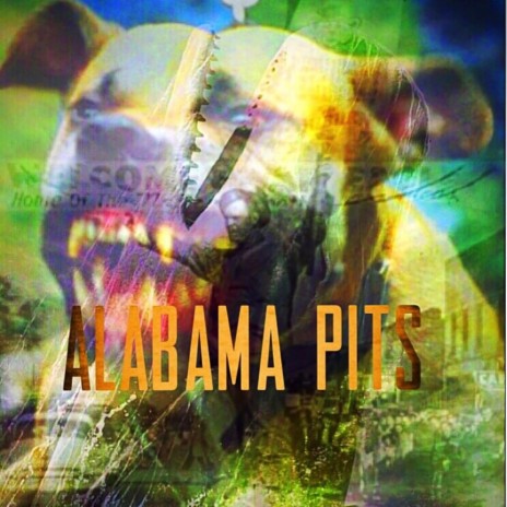 Alabama Pits | Boomplay Music