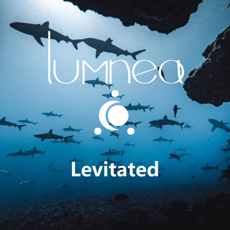 Levitated (Extended Mix) | Boomplay Music