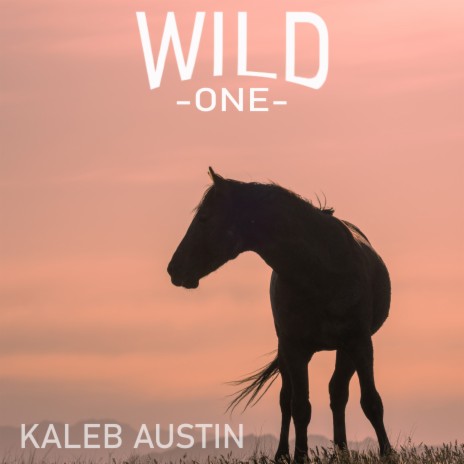 Wild One | Boomplay Music