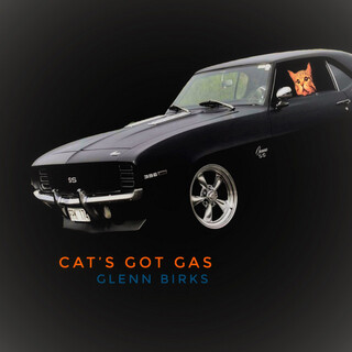 Cat's Got Gas