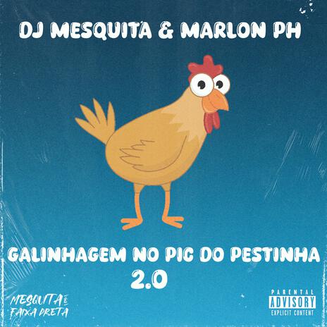 GALINHAGEM NO PIC DO PESTINHA 2.0 ft. Mc Marlon PH & Dj JL O Único | Boomplay Music