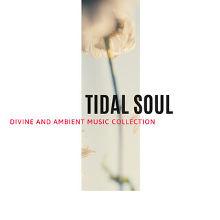 Tidal Soul - Divine and Ambient Music Collection