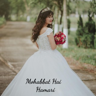 Mohabbat Hai Hamari