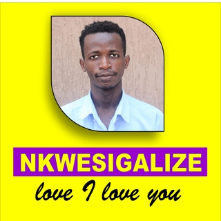 Visualiser nkwesigalize