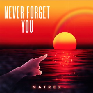 Never Forget You lyrics | Boomplay Music