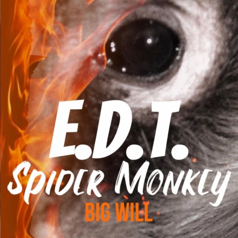 E.D.T. SPIDER MONKEY