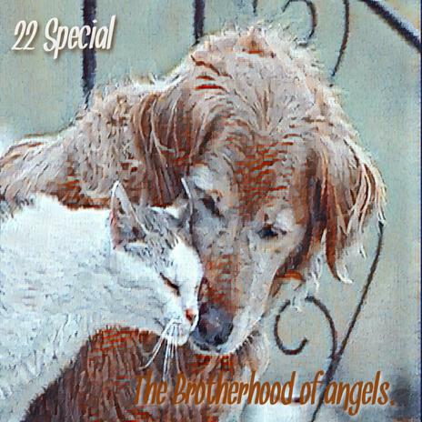 The Brotherhood of angels. | Boomplay Music