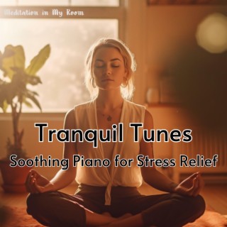 Tranquil Tunes: Soothing Piano for Stress Relief