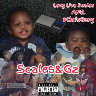 Scales&Gz
