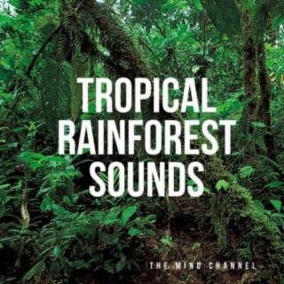 Tropical Rainforest Sounds
