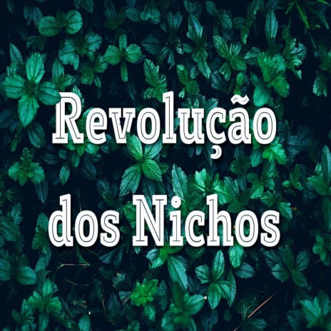 Revolução dos Nichos | Boomplay Music