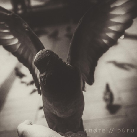 Dúfu | Boomplay Music
