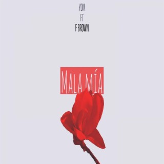 Mala Mía (feat. YDM Producer)