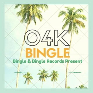 04k Bingle