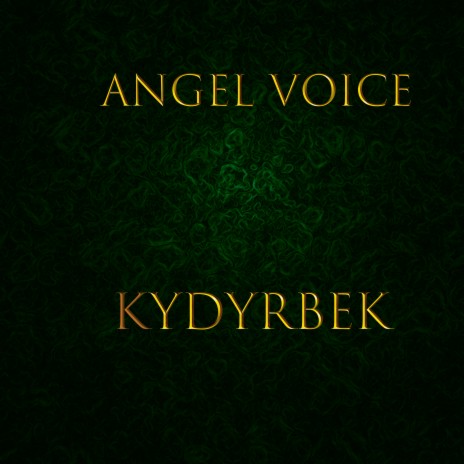 Angel Voice | Boomplay Music