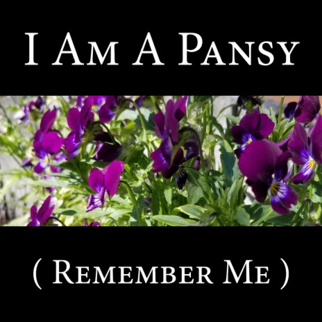 I Am a Pansy (Remember Me) | Boomplay Music