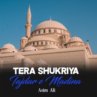 Tera Shukriya Tajdar e Madina