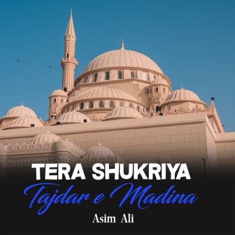 Tera Shukriya Tajdar e Madina | Boomplay Music