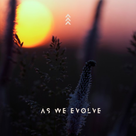 As We Evolve | Boomplay Music