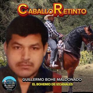 CABALLO RETINTO