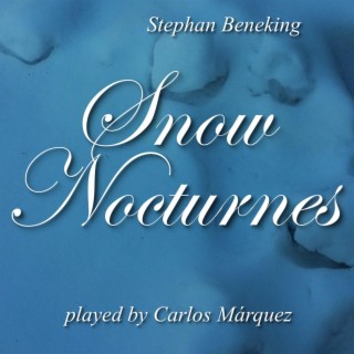 Snow Nocturnes