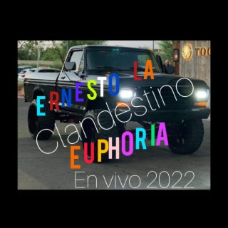 Ernesto la Euphoria