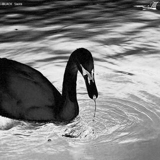 BLACK SWAN