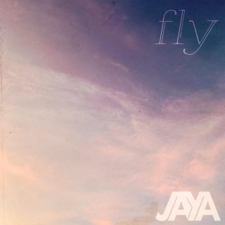 fly