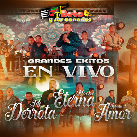 Grandes Éxitos Mi Derrota / Noche eterna / Herido de amor (En Vivo) | Boomplay Music