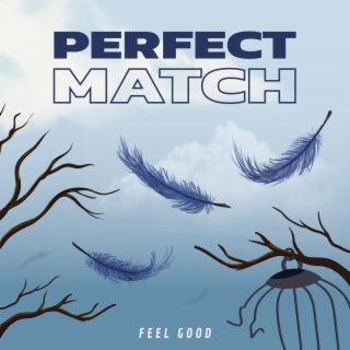 Perfect Match lyrics | Boomplay Music