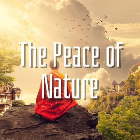 The Peace of Nature | Boomplay Music