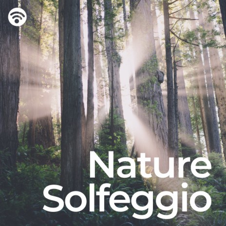 Earth's Melodic Solfeggio Serenade ft. Nature & Buddha Meditation and Deep Dhayana Music | Boomplay Music